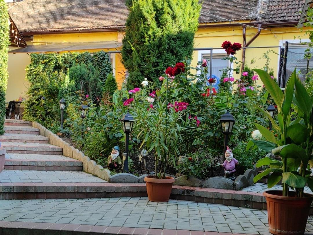 Color Home Hermannstadt ภายนอก รูปภาพ